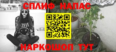 тгк Будённовск
