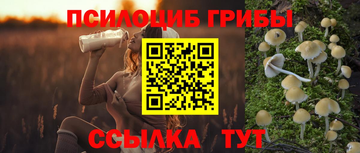 Псилоцибиновые грибы прущие грибы Павловский Посад