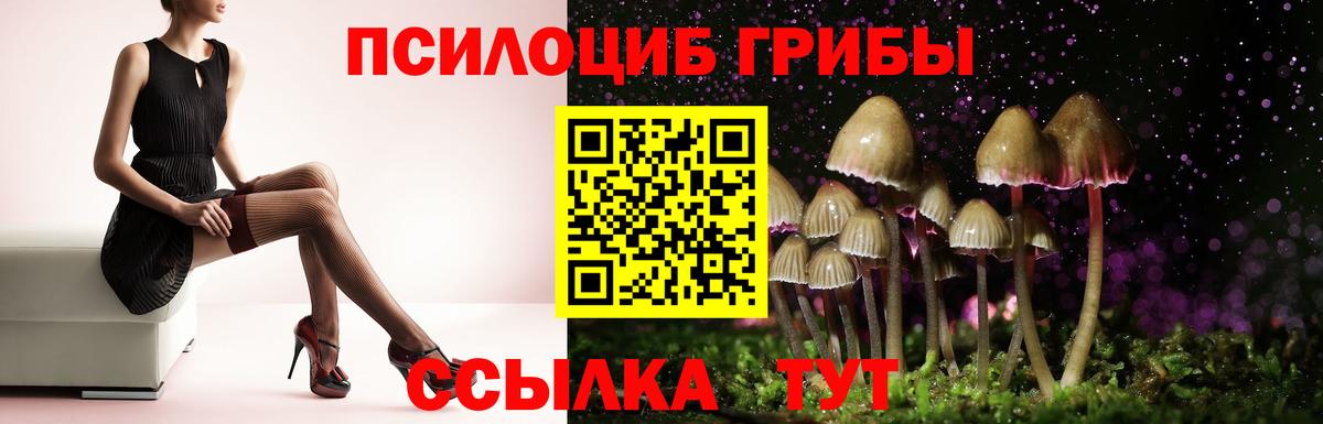 Псилоцибиновые грибы Magic Shrooms  Вход с VPN  Павловский Посад  Псилоцибиновые грибы MAGIC MUSHROOMS 